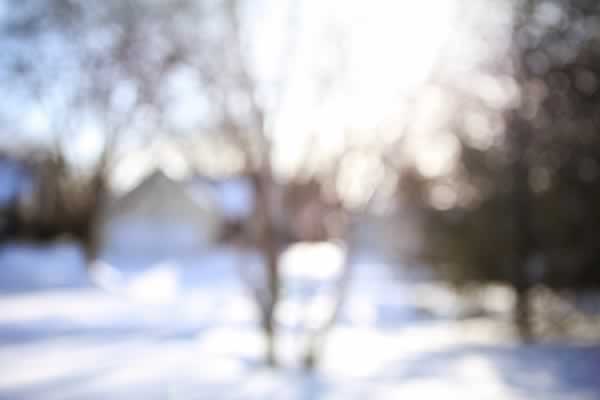 Use these winter yard care tips for a great yard this spring.